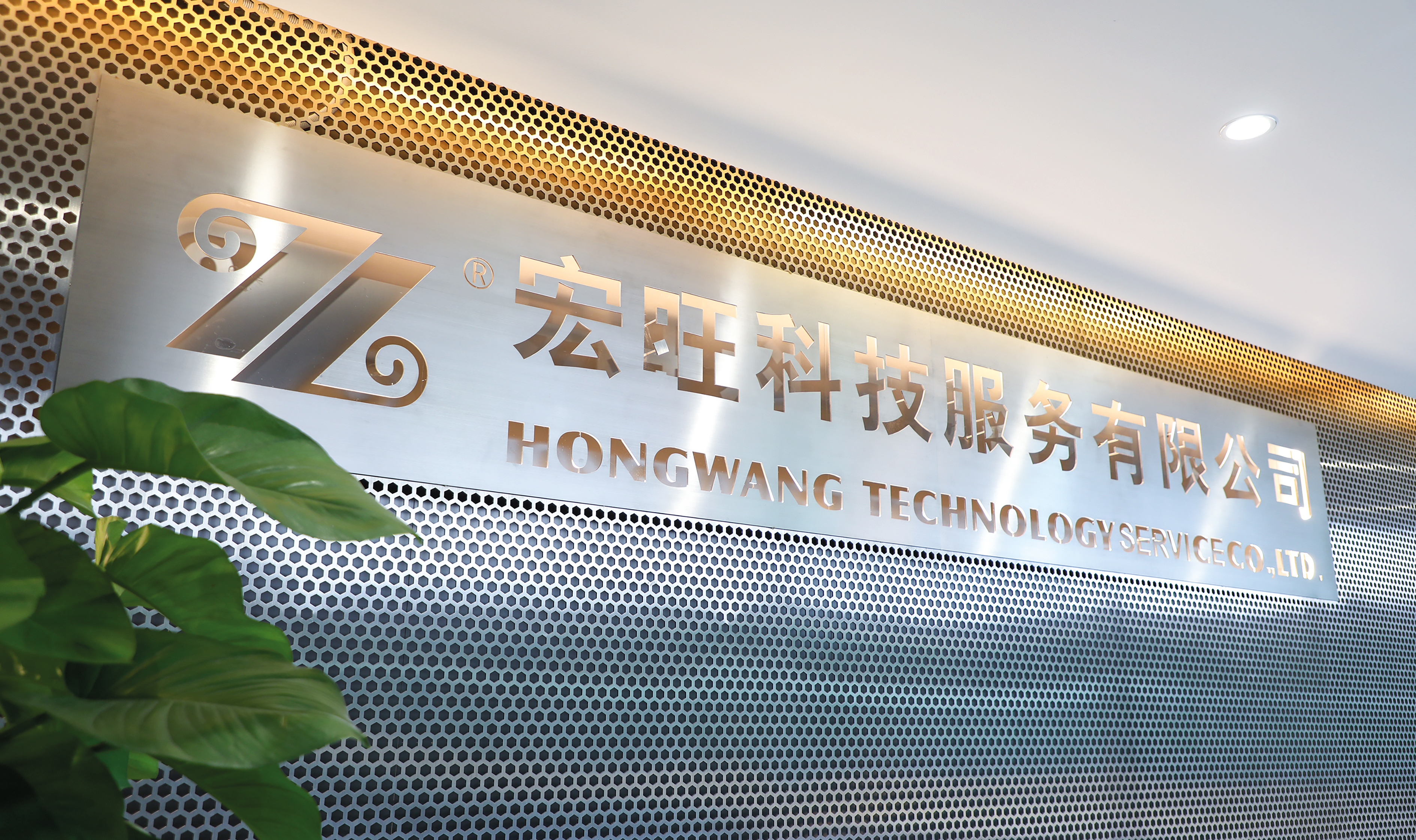 Hongwang Technology